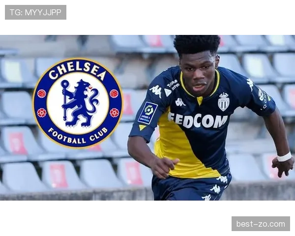 卡马文加与佩德里：技术型中场的风格分野如何影响战术适配？